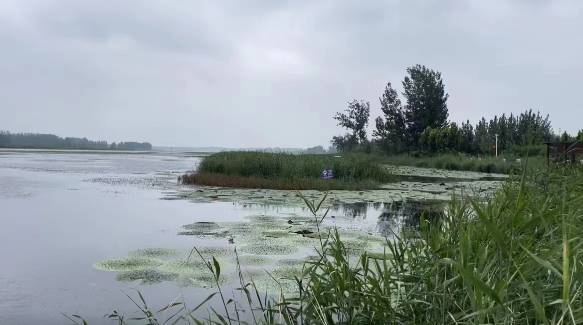 微信图片_20230808115139.jpg