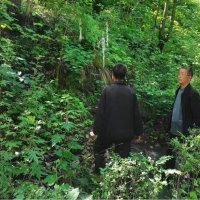 南阳市西峡县：送无名烈士“回家”