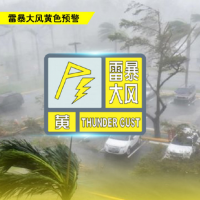 郑州市发布雷暴大风黄色预警