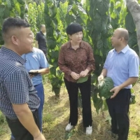 河南省林业局调研组莅临梁园区黄河故道国家湿地公园调研