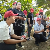 禹王台区委宣传部组织开展“产业兴旺助力乡村振兴”市民考察团活动
