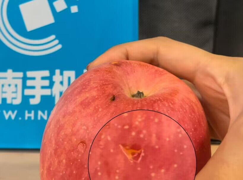 萝卜.jpg