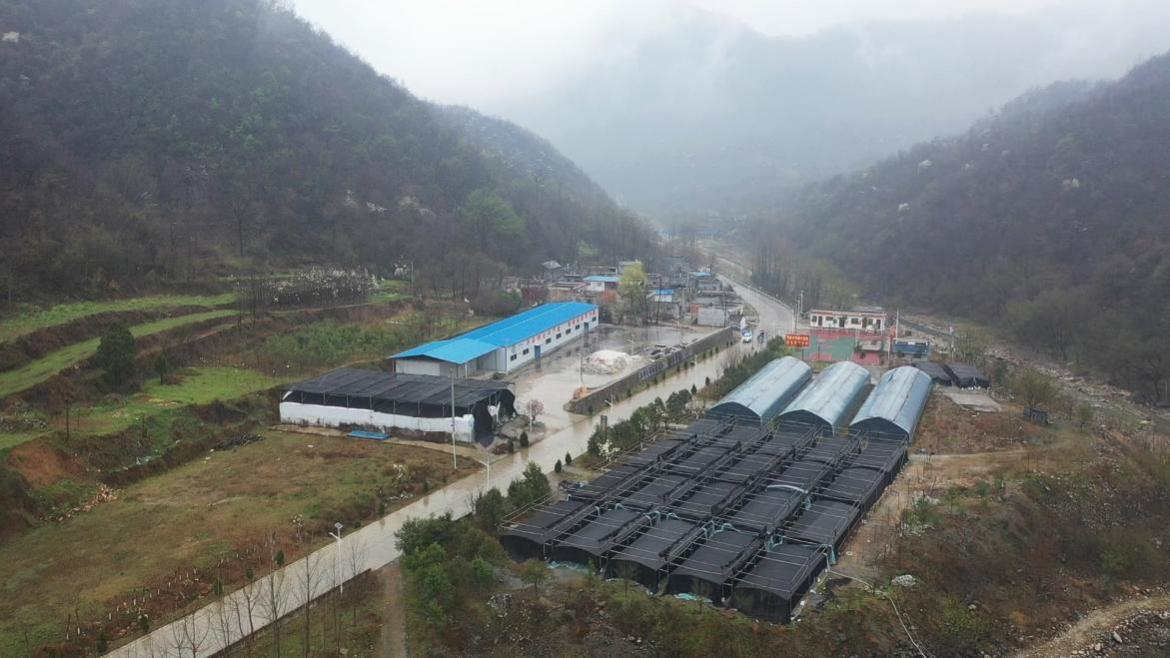 图片6.jpg