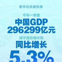 今年一季度中国GDP同比增长5.3%