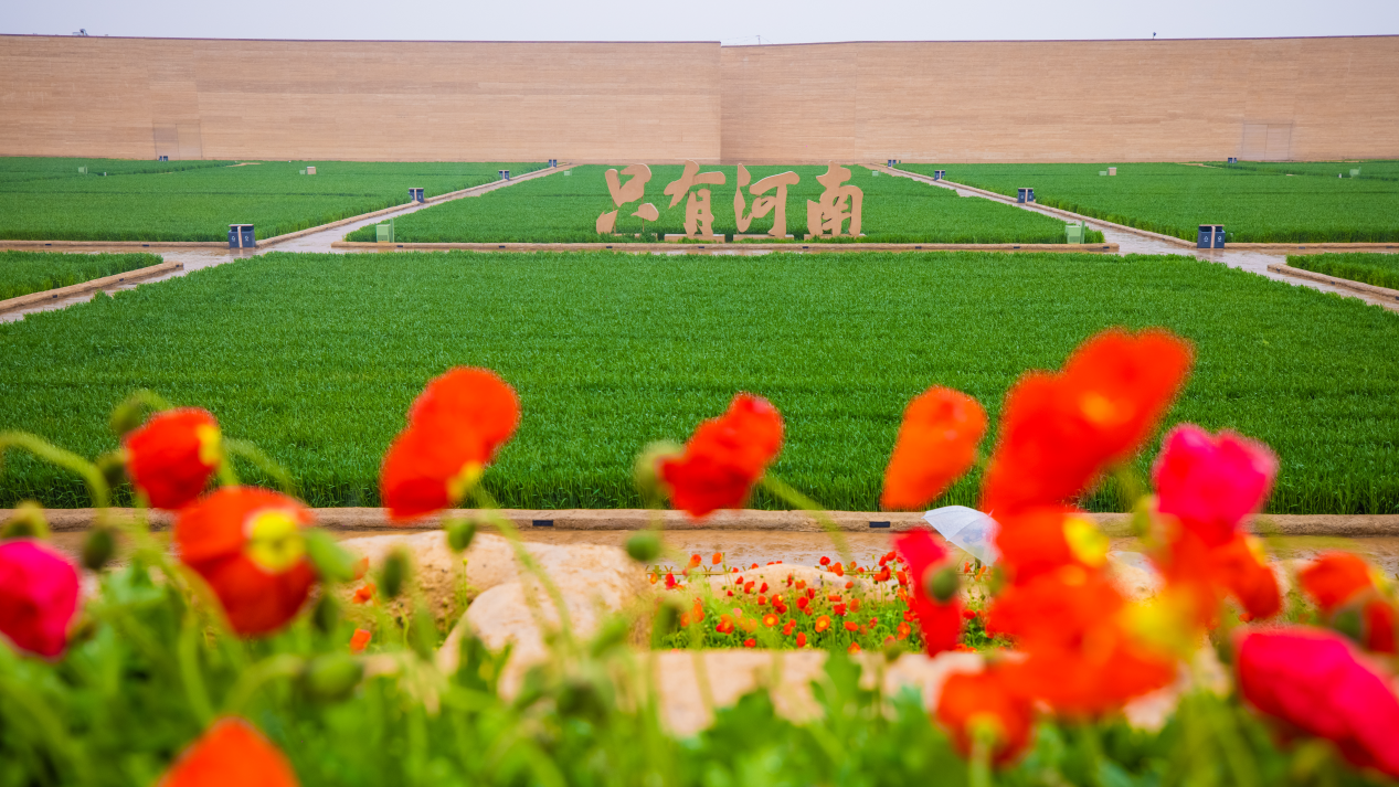 1714135354432.png IMG_6689.png