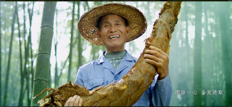 微信截图_20240922110350.png