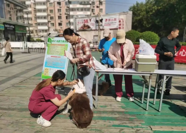 郑州可线上为爱犬办电子证