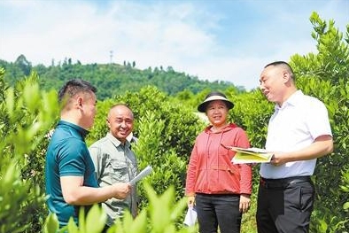 司法部：全国“法律明白人”超420万 实现行政村全覆盖