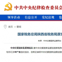 刚刚官宣！女副省长“落马”后，丈夫也被查！