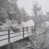 气温先升后降！本周河南还有9级阵风+中雪