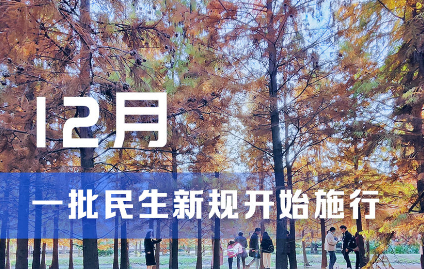 一批民生新规12月起施行