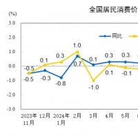 2024年11月份居民消费价格同比上涨0.2%