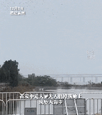 蔡国强烟花秀突发意外！大量无人机坠海，最新回应