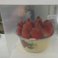 手机报·晚报丨草莓蛋糕带火搪瓷盆，草莓价格会火吗；今天上午，三门峡、洛阳、信阳局部出现降雪