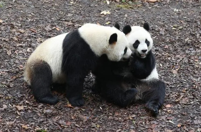 微信截图_20241211104740.png