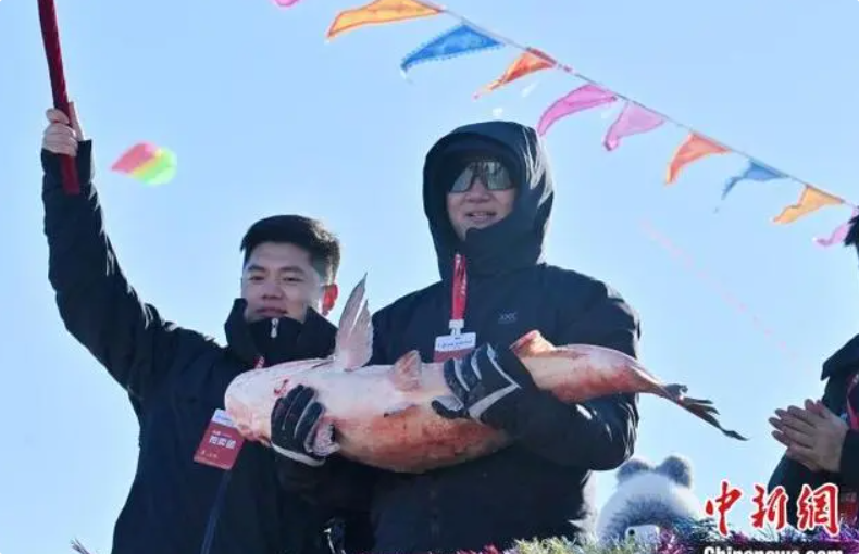 QQ20241229-054700.png
