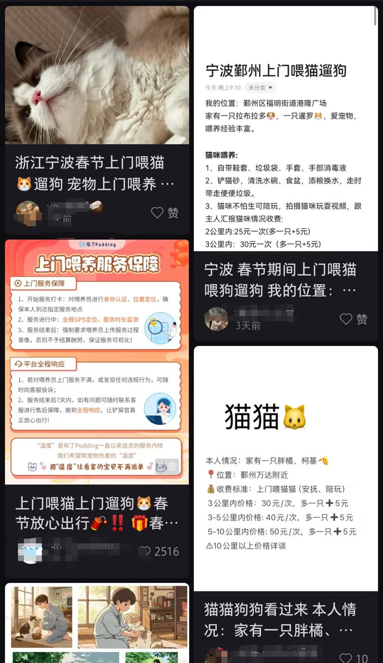宠物2.jpg