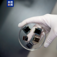 新突破！我国科研团队解锁太阳能电池“长寿密码”
