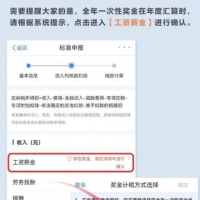 试一试！这一个细节可能决定退税还是补税