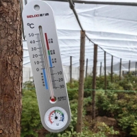 手机报·早报丨AI邀请码标价百万元？小心“有诈”；去年河南本专科在校生309万人