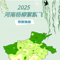 戴口罩！注意防火！2025河南杨柳絮预警地图发布