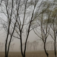 手机报·早报丨京东、盒马推出“出口转内销”扶持计划；徐克获金像奖“终身成就奖”