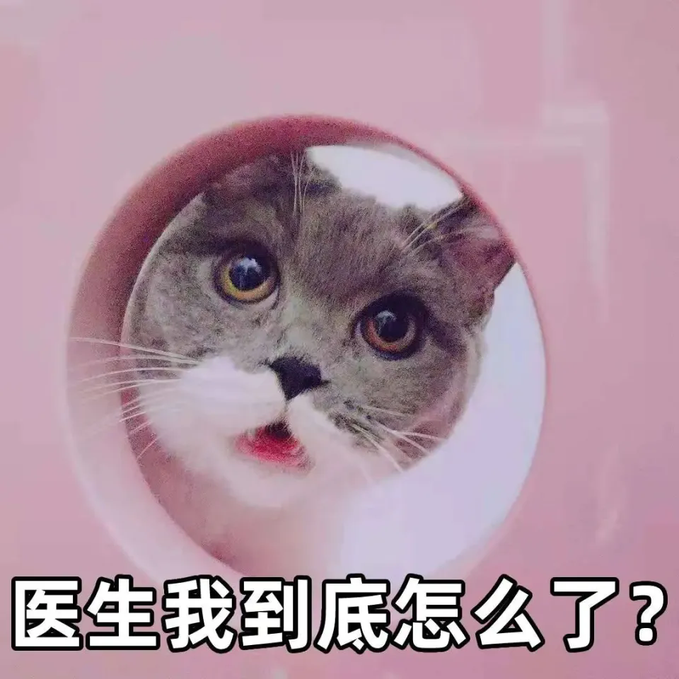 1747964384364.png be96132d1509045af9a106332bfebb3a.png