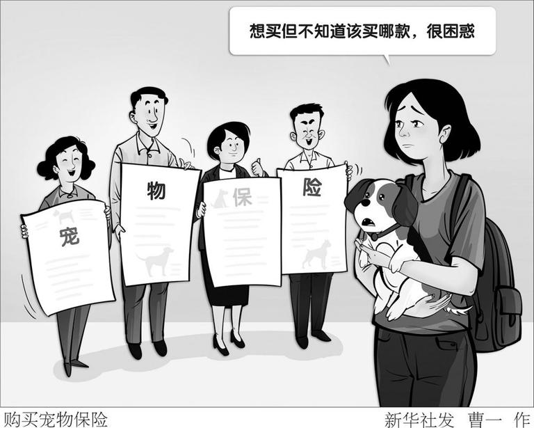 宠物2.jpg