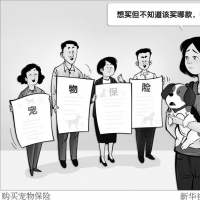 手机报·晚报丨宠物闯祸，能走保险吗；郑州公安出入境推出学生“夜间办证专场” 