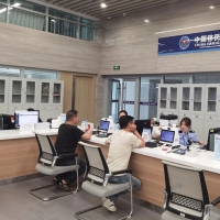 即来即办！河南7地开启学生暑期办证专场