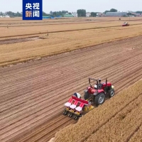 累计播种面积8821万亩 河南夏播基本结束