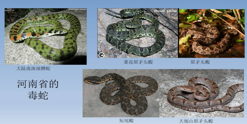 1752563210336.png 图片3.png