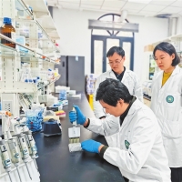 ​【两高四着力 中原谱新篇】教育+科技+人才=？（总编有约·“两高四着力”调研行）