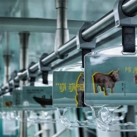 洛阳地铁变身移动博物馆