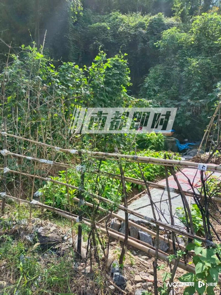 女子氢氟酸中毒.jpg