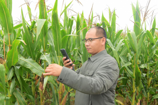 1758632729100.png image.png