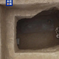 手机报·早报丨多方回应新手机号注册登到李玟账号；寿宴上遭恶意纠缠合影，101岁院士发声明