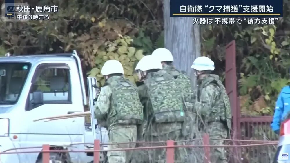 1762470689173.jpg 640.jpg