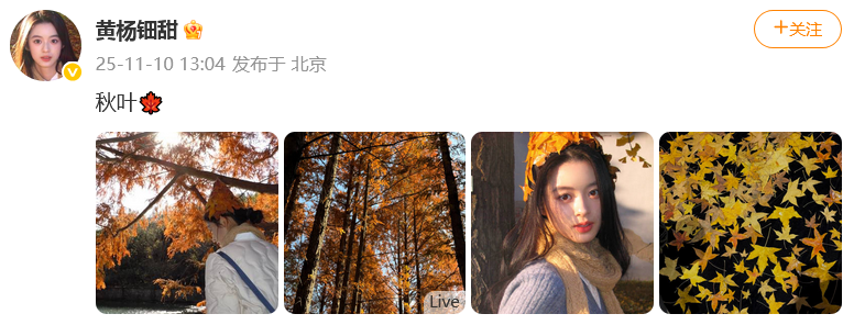 1762764511607.png 黄杨钿甜.png