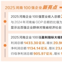 2025河南企业100强榜单发布