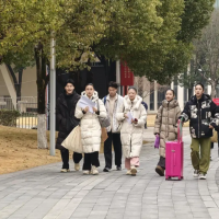 手机报·晚报丨多所高校，停招艺术类专业；明年起购置税将减半征收，17家汽车品牌承诺兜底