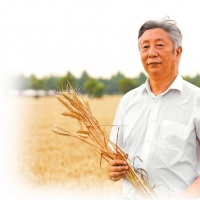 风吹麦浪（弘扬科学家精神 这才是我们该追的星）