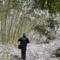 “移动蓝”织就豫西深山通信生命线