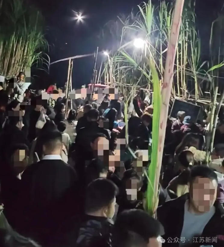 1764060467150.png 偷甘蔗99.png