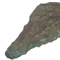 手机报·早报丨香港消防处：大埔火灾已造成40人遇难；河南遴选省级消费券发放平台企业