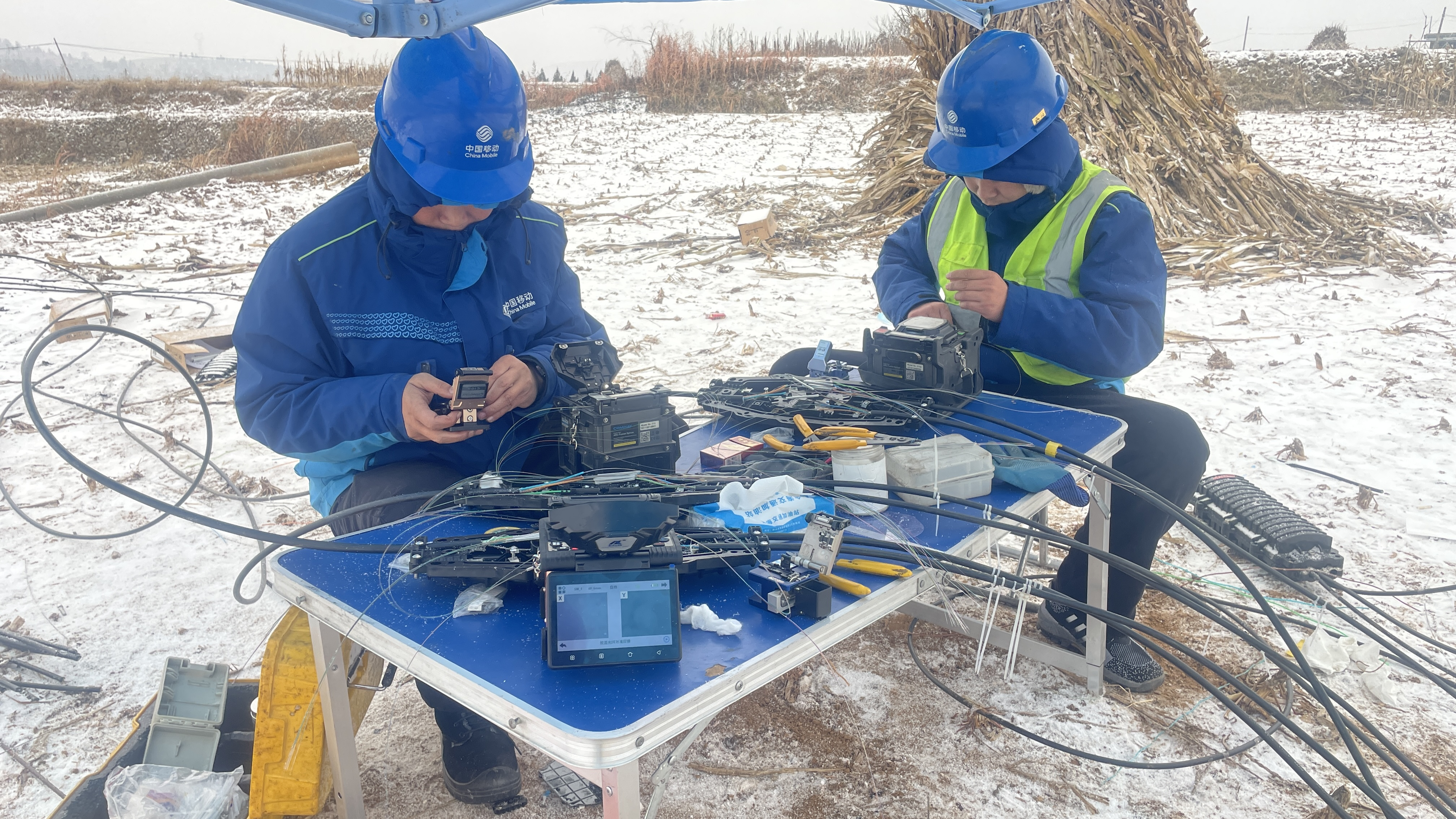 1765620359713.png 图片3.png