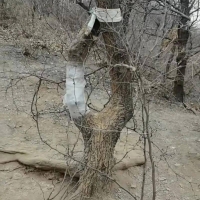 手机报·早报丨减轻生育负担，河南支持措施来了；充电宝CCC标志新增追溯二维码