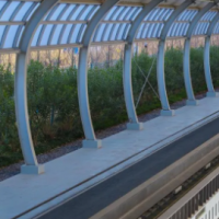 手机报·早报丨各地文旅开抢元旦出游市场；“不怕被偷”的深圳博物馆火了