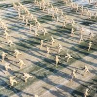 手机报·早报丨多场“荒野求生赛”被叫停 啥原因？河南新增2所本科高校