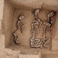 手机报·早报丨美团、淘宝闪购、京东外卖发文表态；农民工诗人刘诗利现身北京零工市场